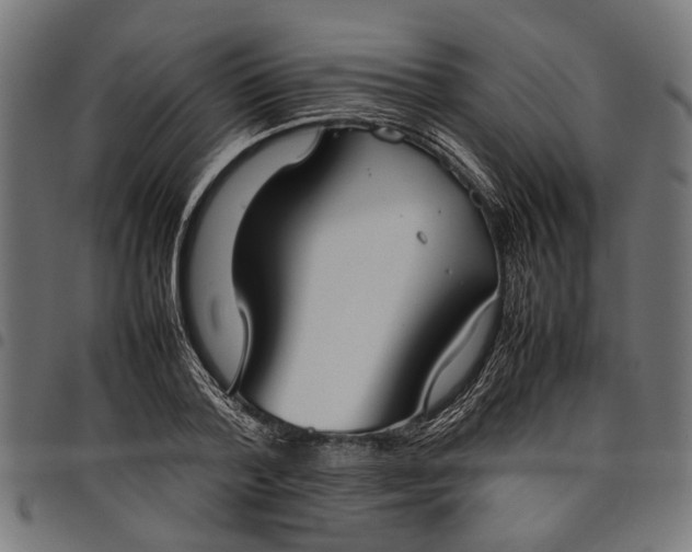 X0000097880788200803281222