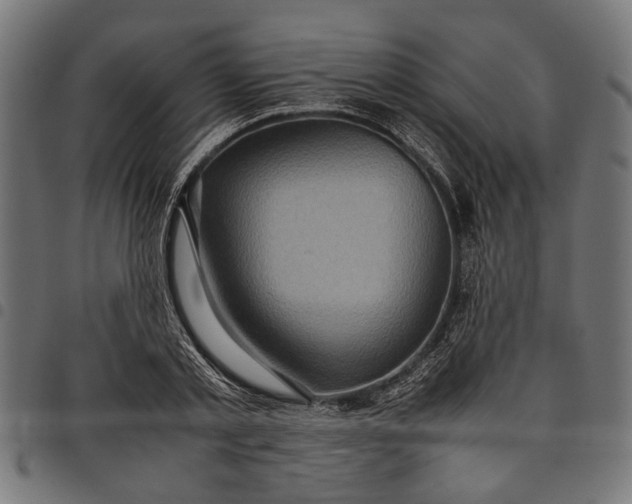 X0000097880789200803281222