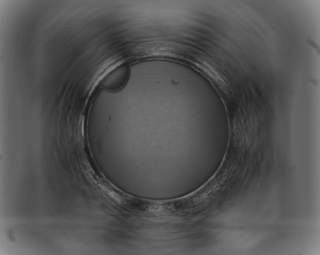 X0000097880790200803281222