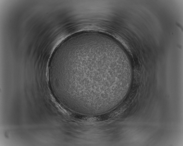 X0000097880791200803281222