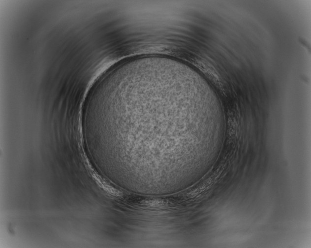 X0000097880792200803281222