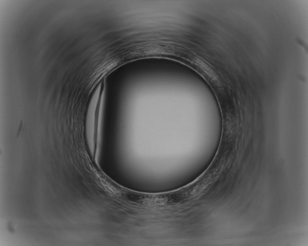 X0000097880793200803281222