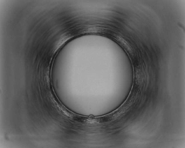 X0000097880794200803281222