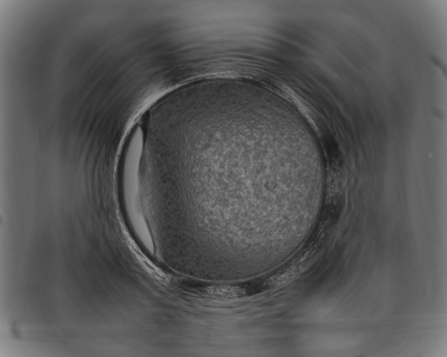 X0000097880795200803281222