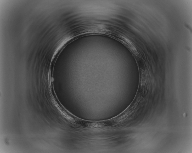 X0000097880796200803281222