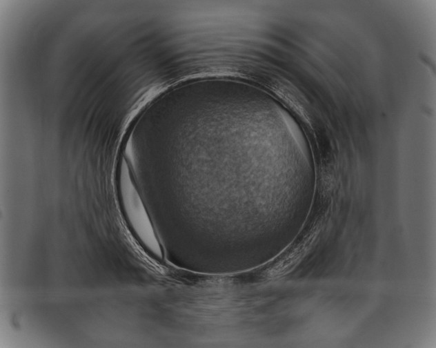 X0000097880797200803281222