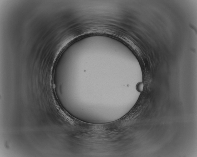 X0000097880799200803281222