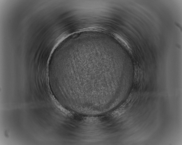 X0000097880800200803281222