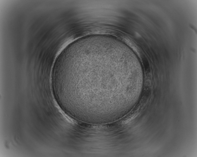 X0000097880803200803281222