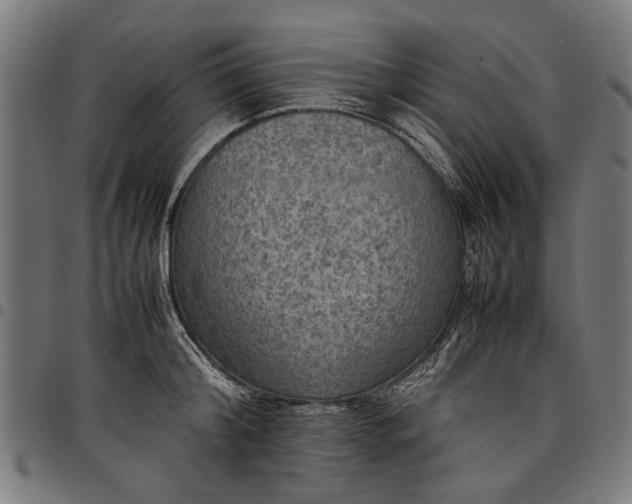 X0000097880804200803281222