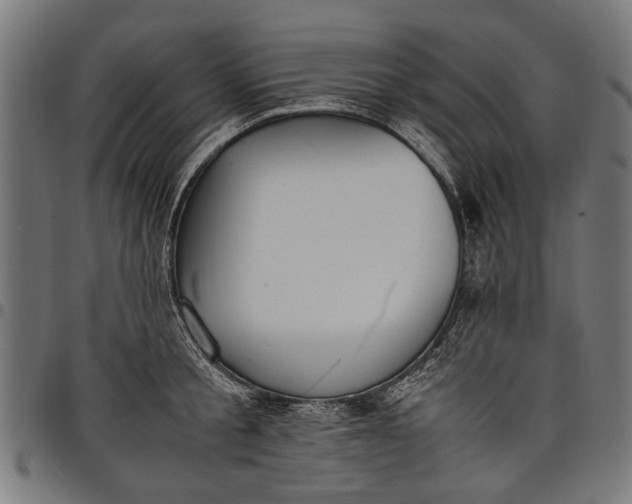 X0000097880805200803281222