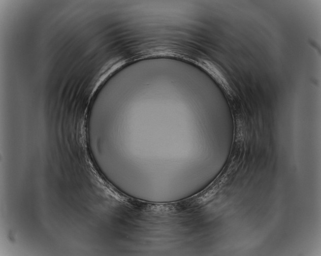 X0000097880806200803281222