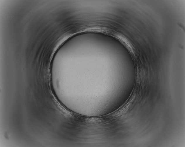 X0000097880808200803281222