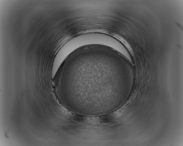 X0000097880809200803281222