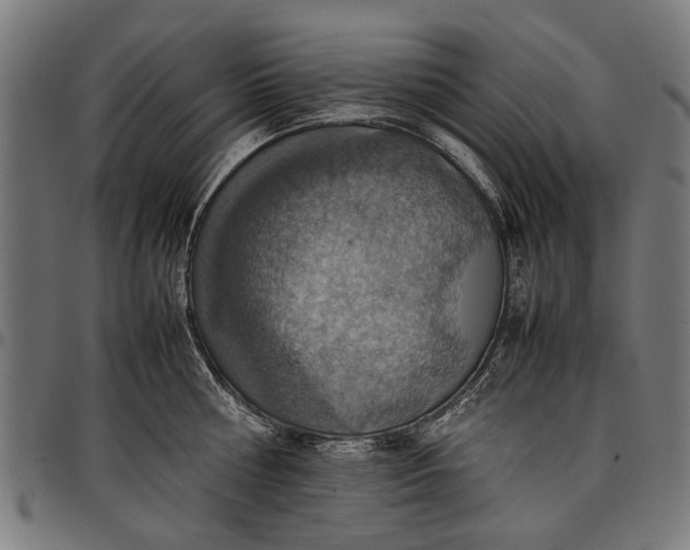 X0000097880810200803281222