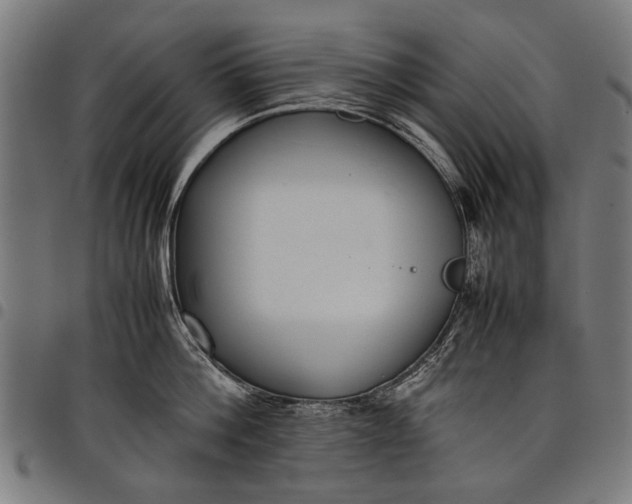 X0000097880812200803281222