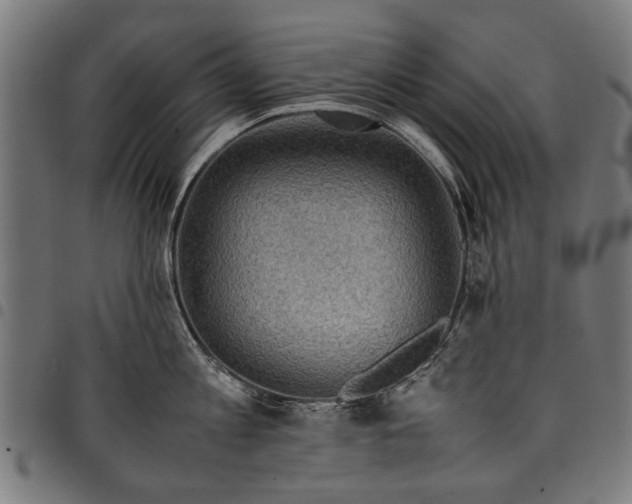 X0000097880813200803281222