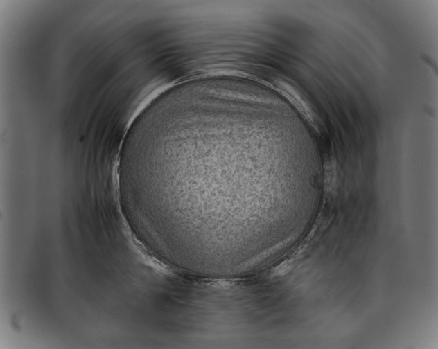 X0000097880814200803281222