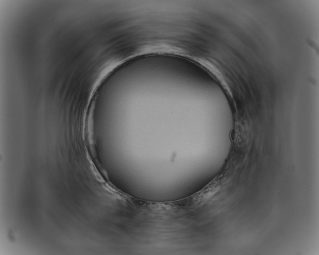 X0000097880815200803281222