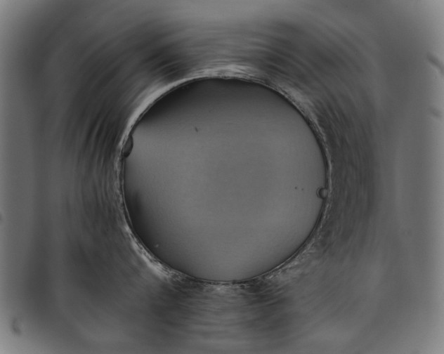 X0000097880816200803281222