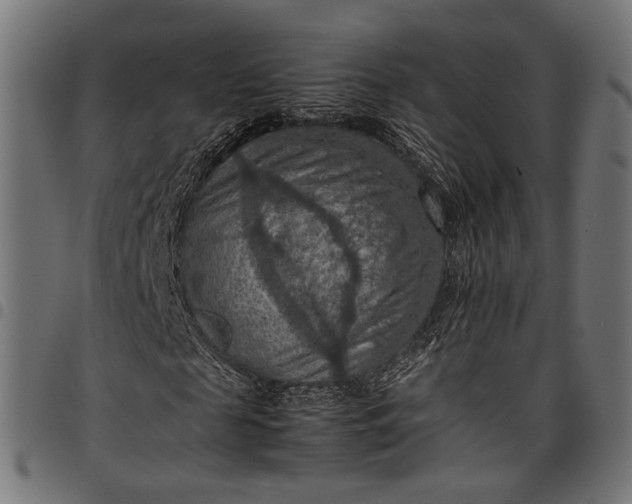 X0000097880817200803281221