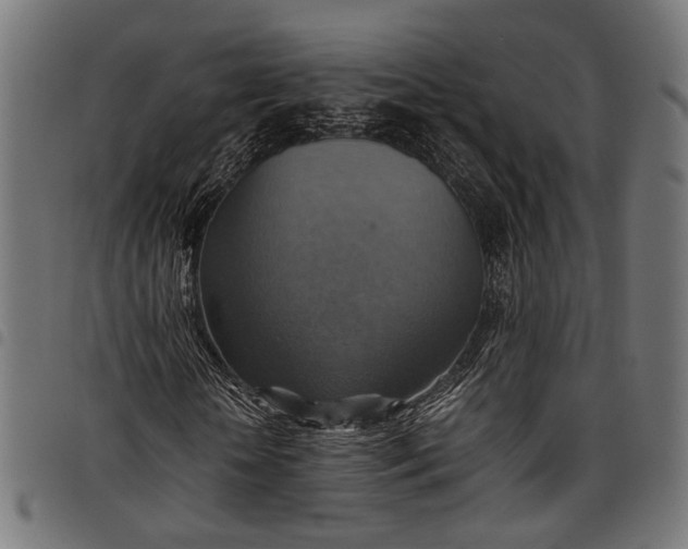 X0000097880818200803281221