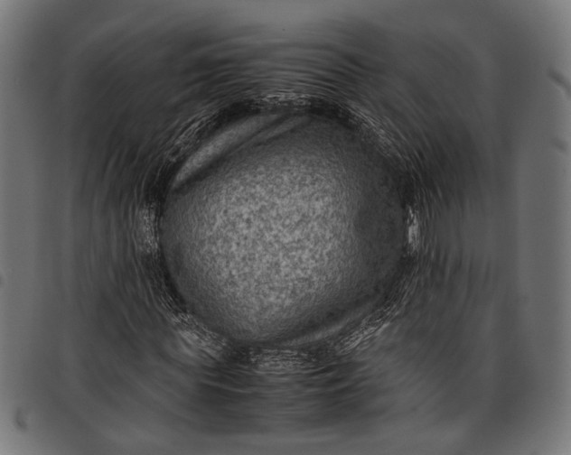 X0000097880819200803281221