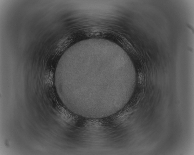 X0000097880820200803281221