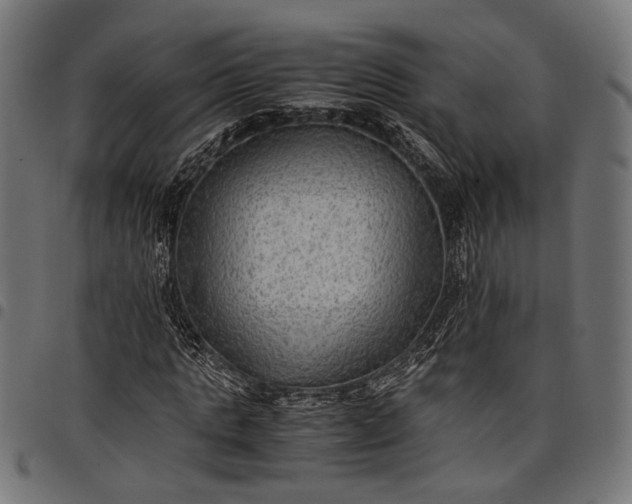 X0000097880821200803281221