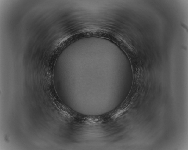 X0000097880822200803281221