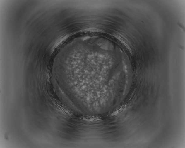 X0000097880823200803281221