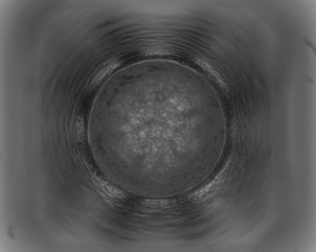 X0000097880825200803281221