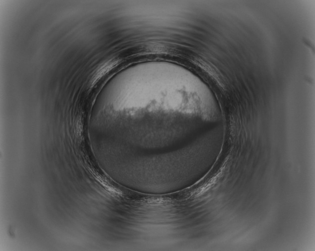 X0000097880826200803281221