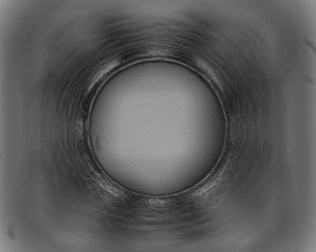 X0000097880827200803281221