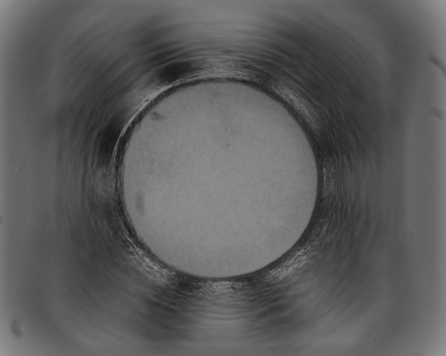 X0000097880828200803281221