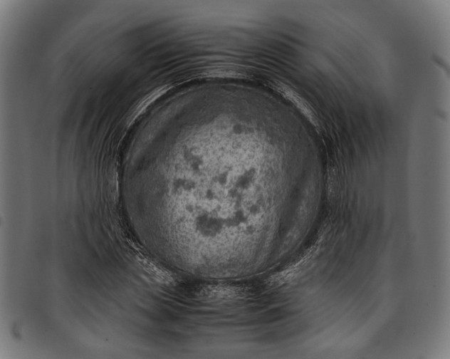 X0000097880829200803281221