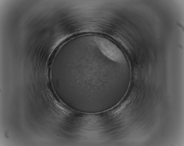 X0000097880830200803281221