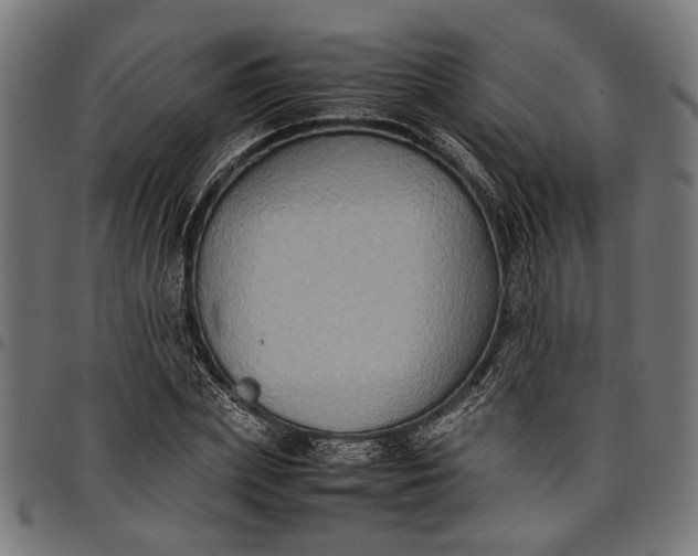 X0000097880831200803281221