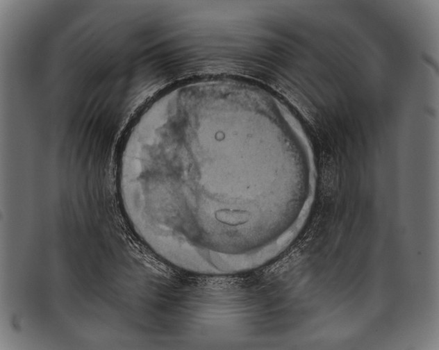 X0000097880832200803281221