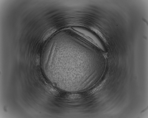 X0000097880833200803281221