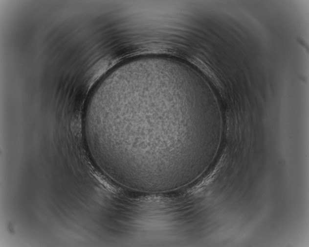 X0000097880834200803281221