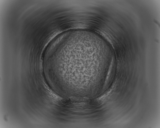 X0000097880835200803281221