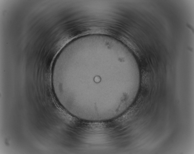 X0000097880836200803281222