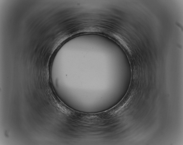 X0000097880837200803281222