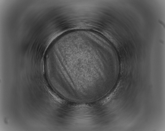 X0000097880838200803281222