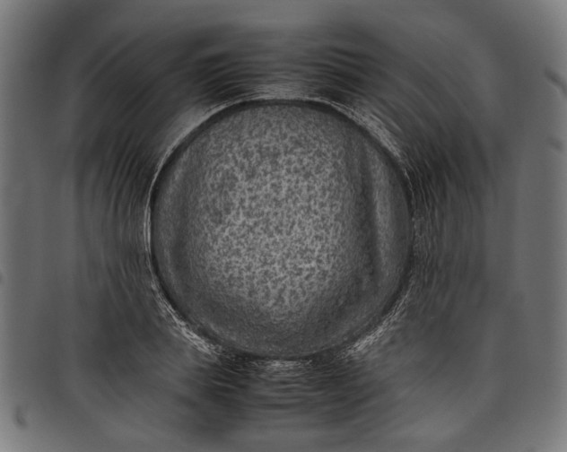 X0000097880839200803281222