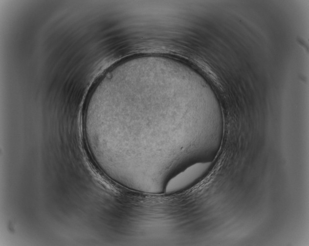 X0000097880840200803281222