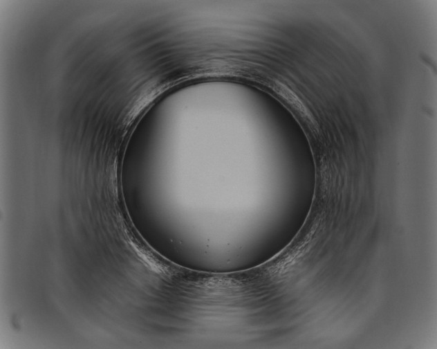 X0000097880842200803281222