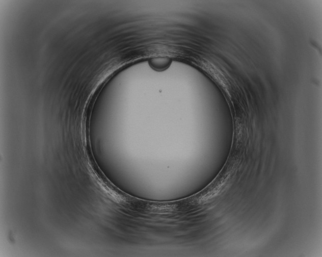 X0000097880843200803281222