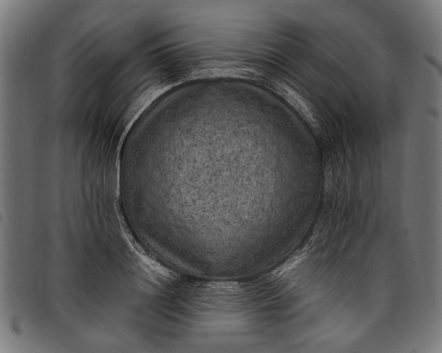 X0000097880844200803281222